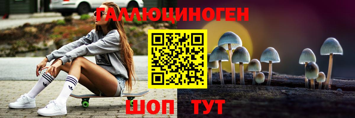 Боровичи  Галлюциногенные грибы Psilocybine cubensis  Вход с VPN 